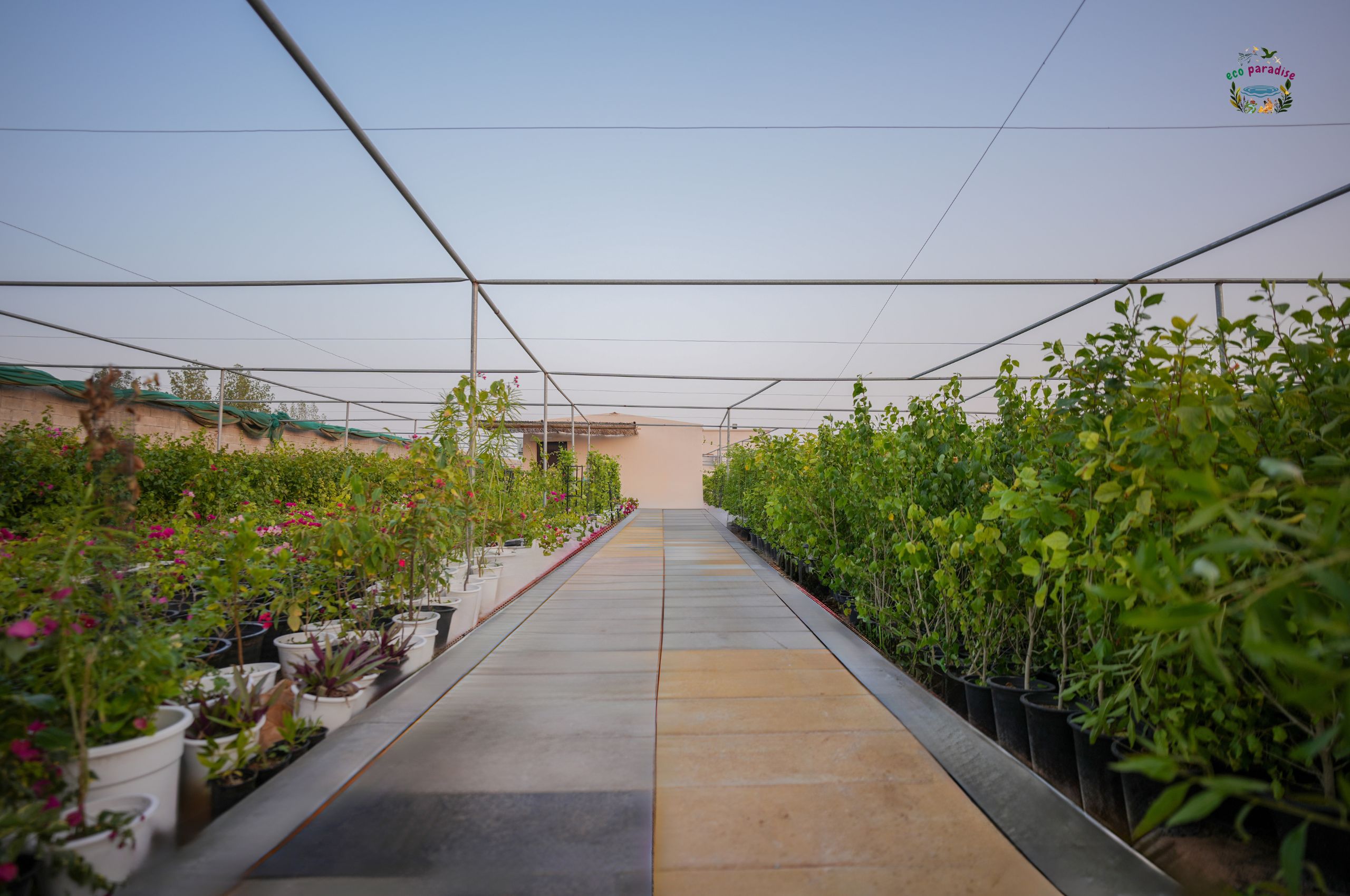 exterior of Eco Paradise