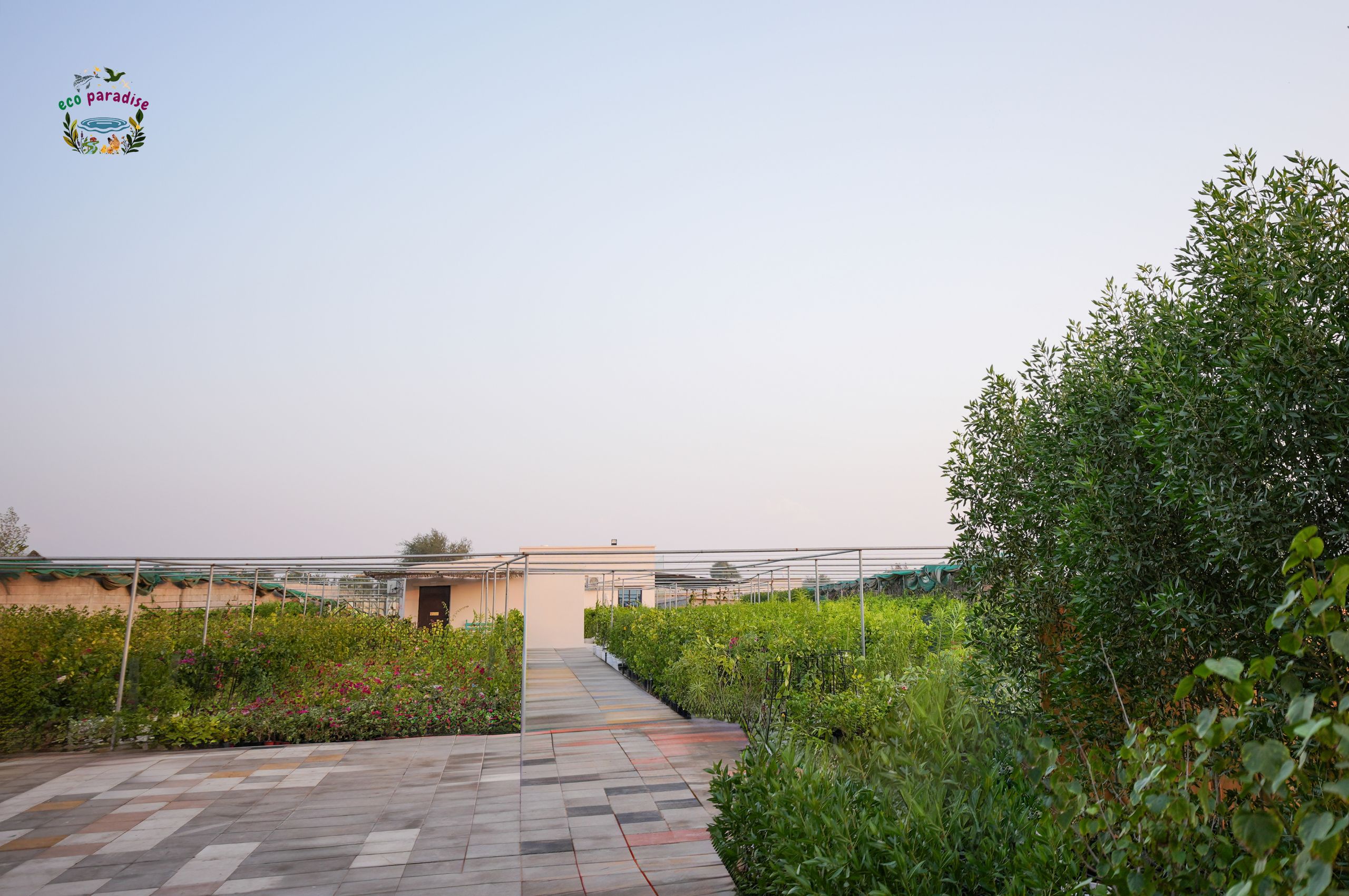 Surrounding of Eco Paradise